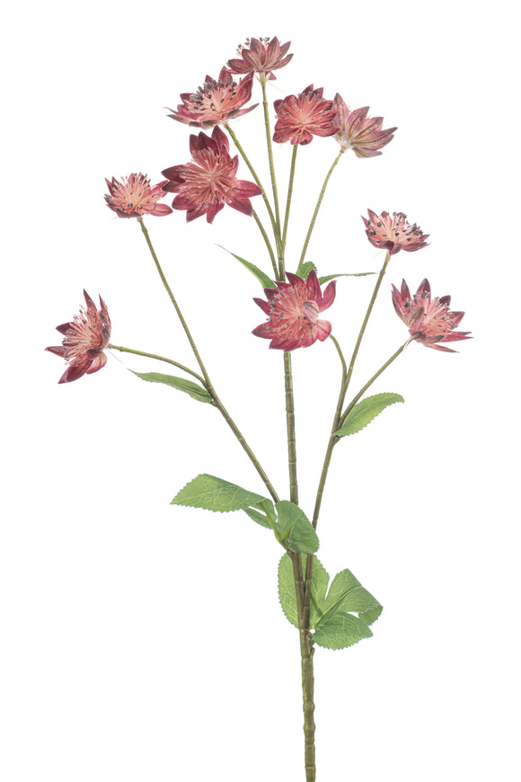 Astrantia artificial - 1 tallo - rosa oscuro