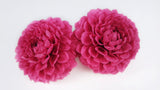 Dahlia Grace preserved Earth Matters - 2 heads - Strawberry 221