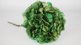 Dried hydrangea - 1 head - Green