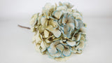 Dried hydrangea - 1 head - Light blue