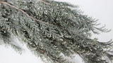Cypress Hiba Earth Matters preservato - 2 pezzi - Wash white 012