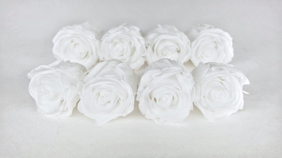 Rose stabilizzate Kiara 5 cm - 8 pezzi - Bianco puro