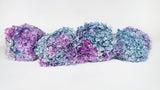 Konservierte Hortensie Anna - 1 Bund - Rainbow purple/blue