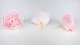 English roses preserved Elena Earth Matters - 6 heads - Chiffon pink 100