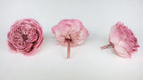 English roses preserved Elena Earth Matters - 6 heads - Opera mauve 190
