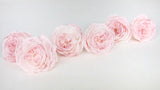English roses preserved Elena Earth Matters - 6 heads - Chiffon pink 100