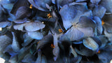 Preserved hydrangea - 1 head - Sapphire blue