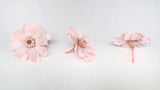 Zinnia preserved Earth Matters - 12 heads - Sakura pink 101